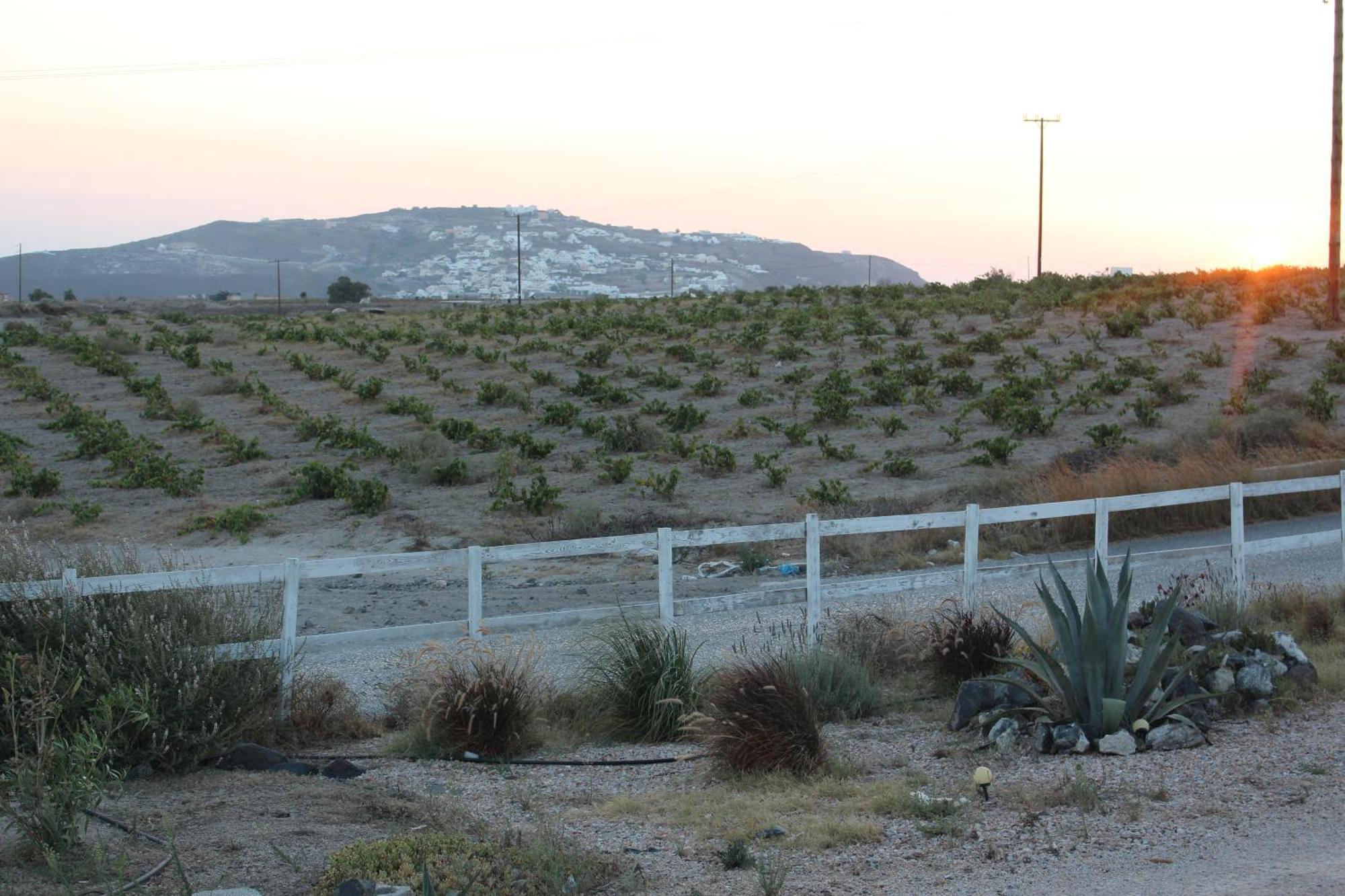 Ab Green Living Santorini Emporio  Luaran gambar